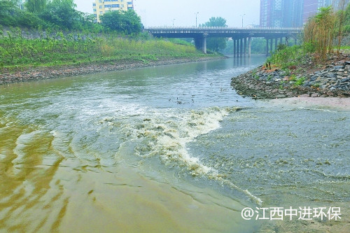 金觀察丨污水處理廠長得像花園？探訪河南第一座新概念污水處理“樣板間”