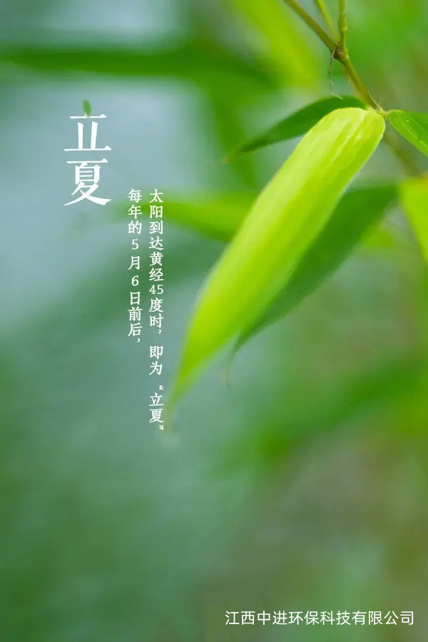 早上好,今日立夏,努力生活,不負時光!